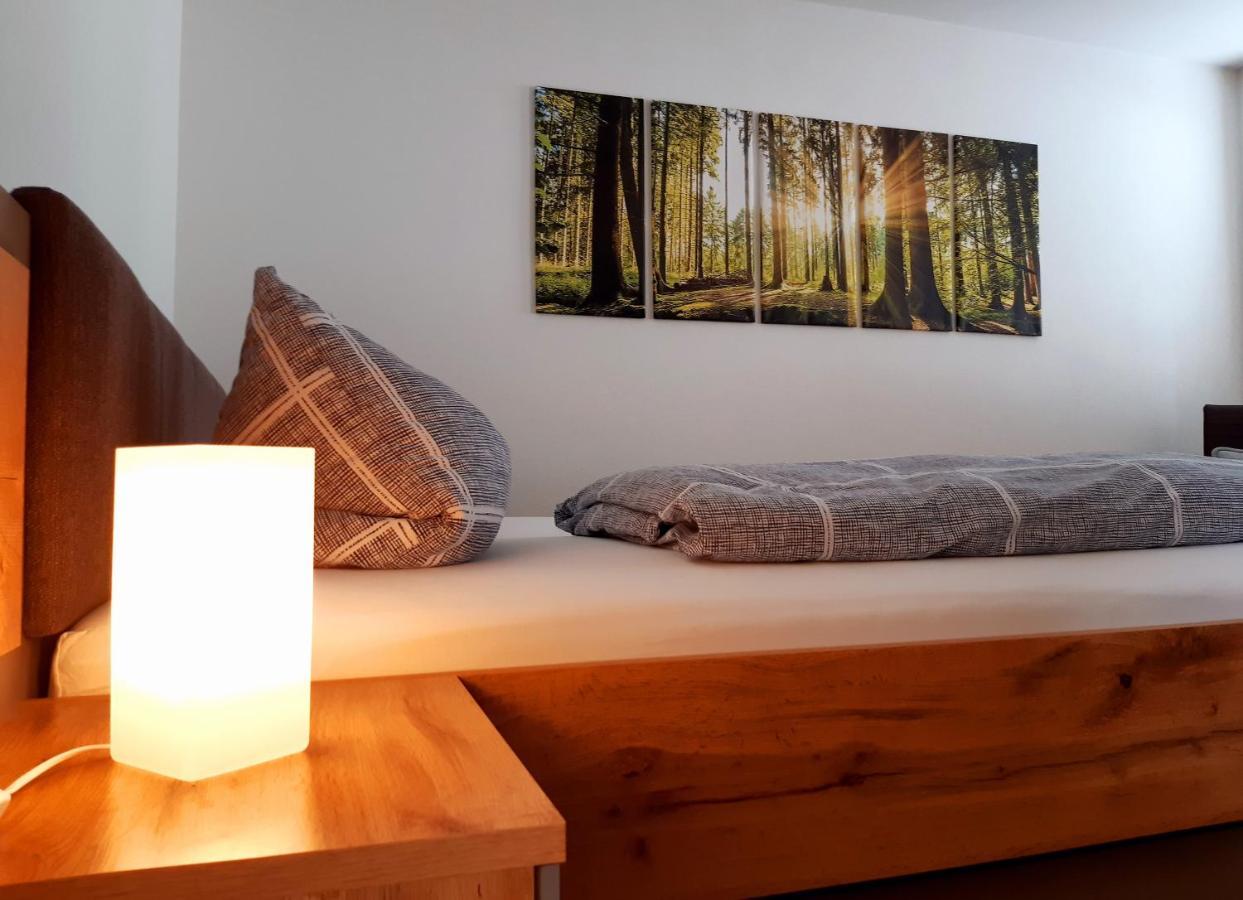 Stadtoase Geraeumige Gaestewohnungen Mit Balkon, Komfort, Modernitaet Und Ruhe, Fuer Monteure Geeignet, Free Wifi Frankenberg Esterno foto